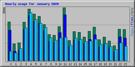 Hourly usage for January 2020