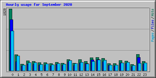 Hourly usage for September 2020