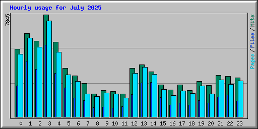 Hourly usage for July 2025