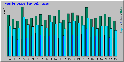 Hourly usage for July 2026